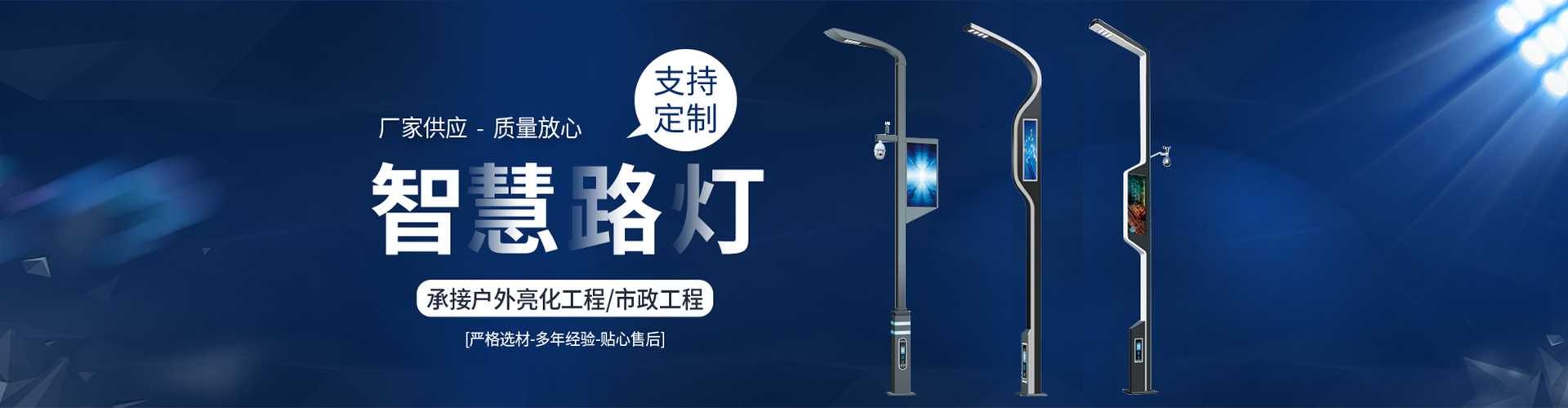 莘县太阳能路灯定制厂家