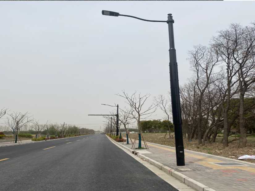 莘县上海综合杆 太阳能路灯工程